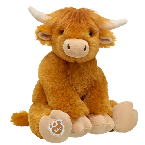 Highland Cow