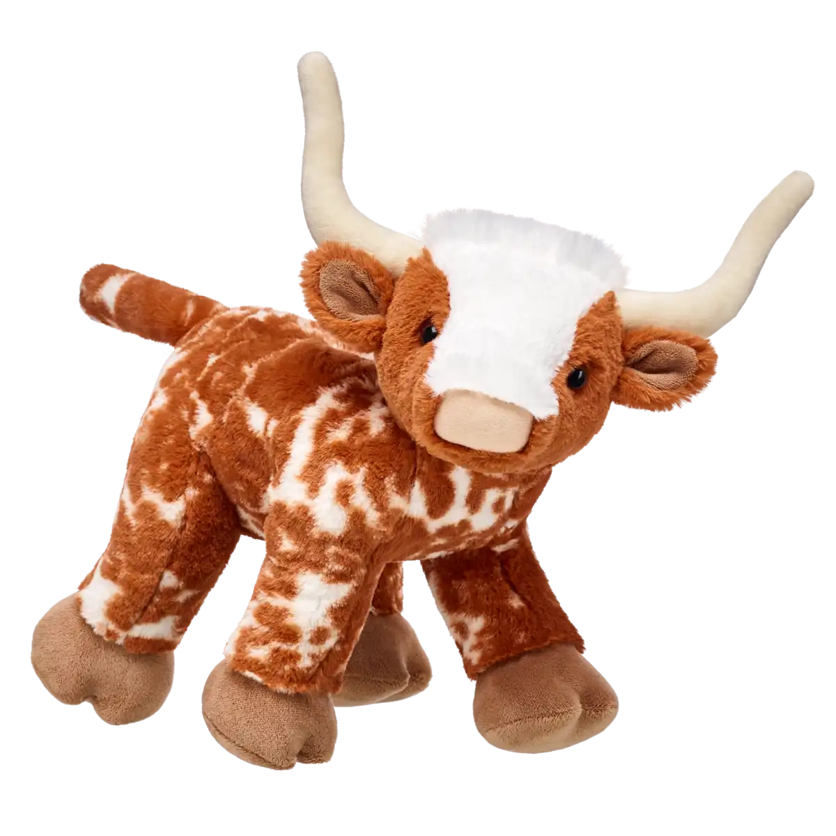 Longhorn Cow