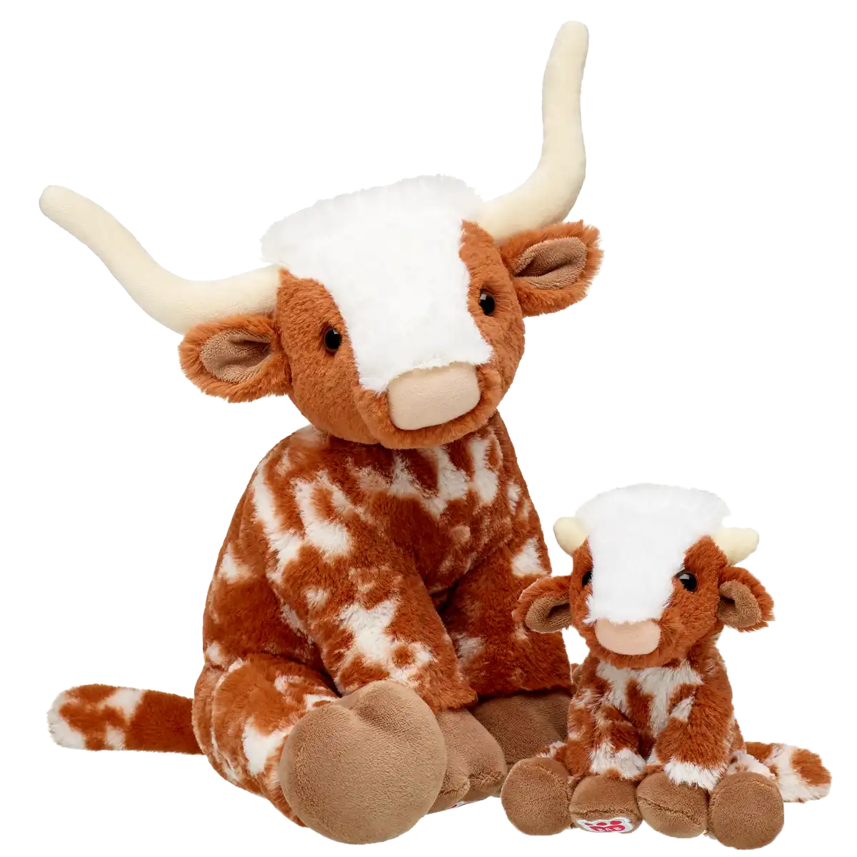 Longhorn Cow