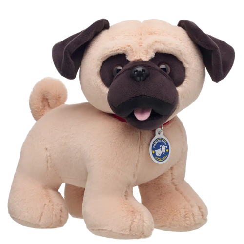 Promise Pets Pug