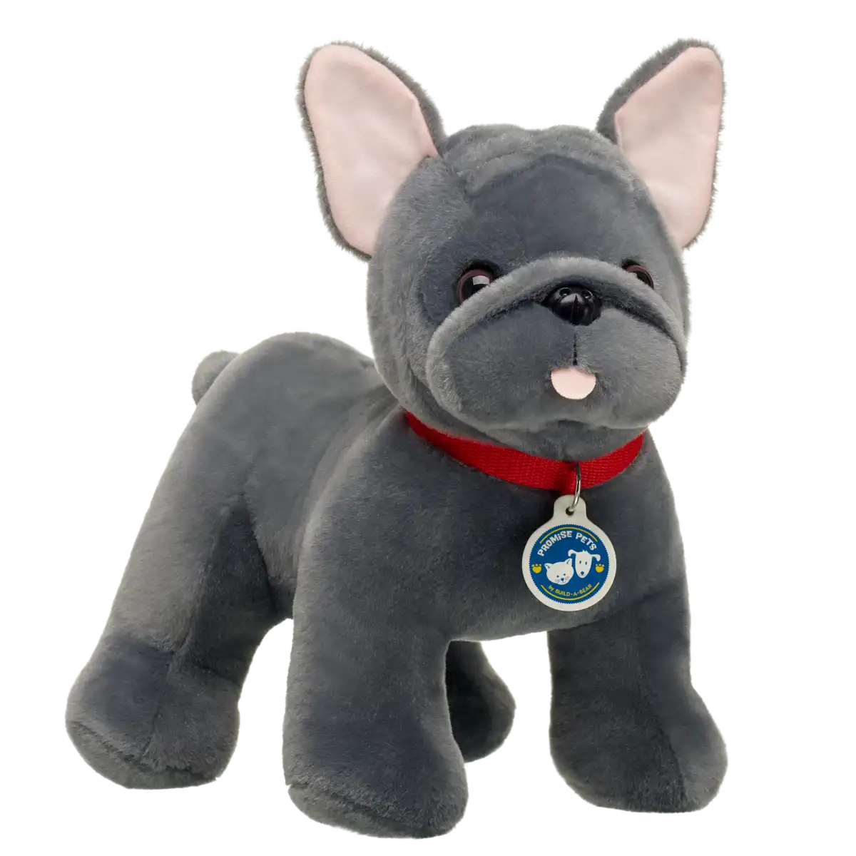 Promise Pets Frenchie