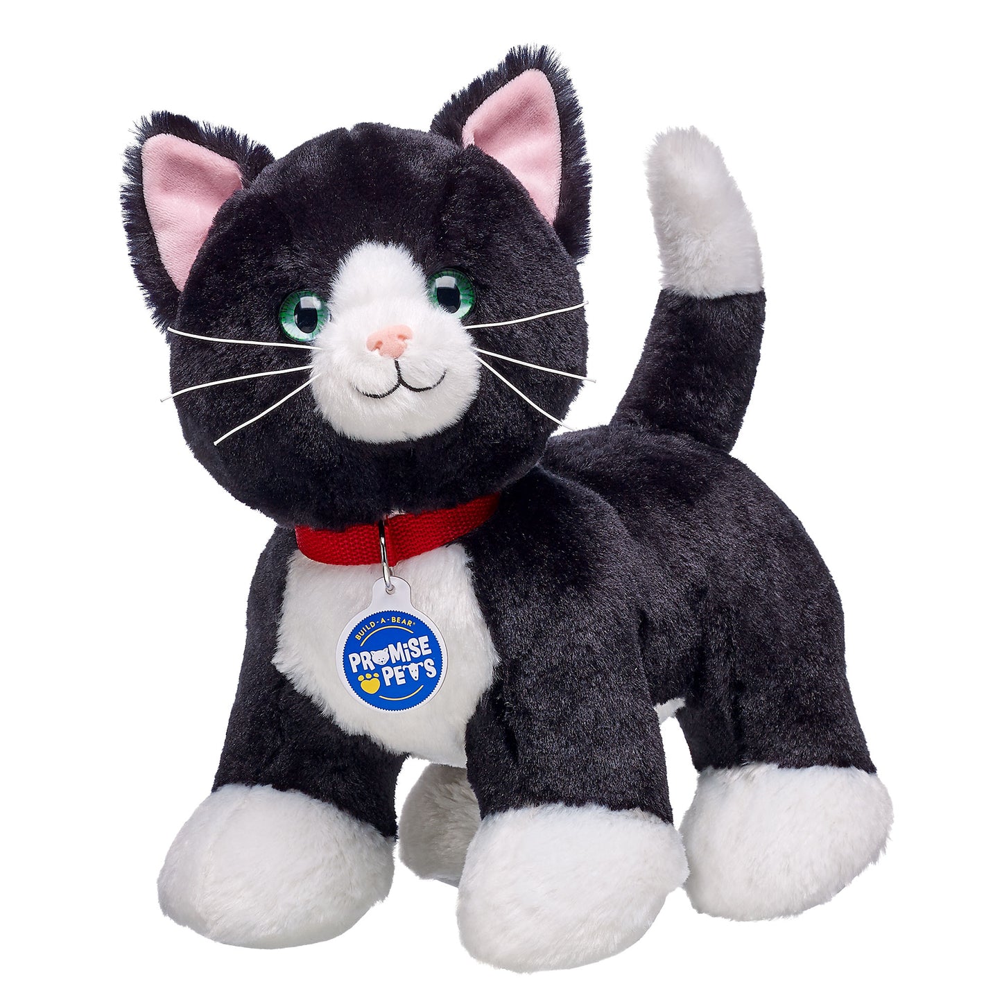 Promise Pets Tuxedo Kat