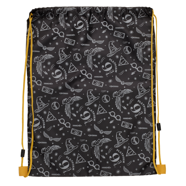 Harry Potter carrier
