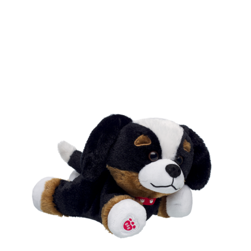 Mini Beans Promise Pets Bernese Mountain Dog