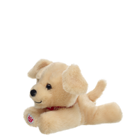 Golden Retriever Mini Beans