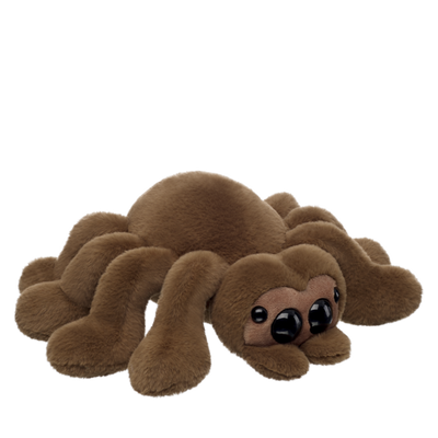 Jumping Spider
