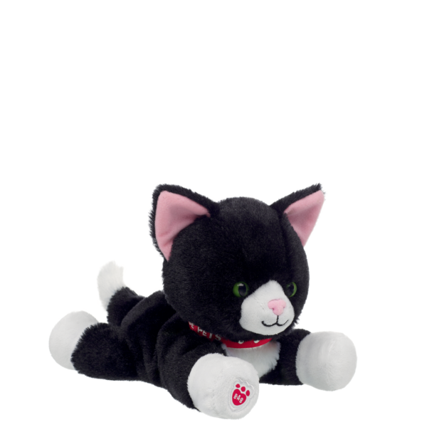 Mini Beans Tuxedo Cat