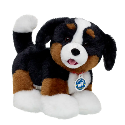 Promise Pets Bernese Mountain Dog