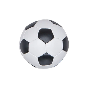 Fodbold