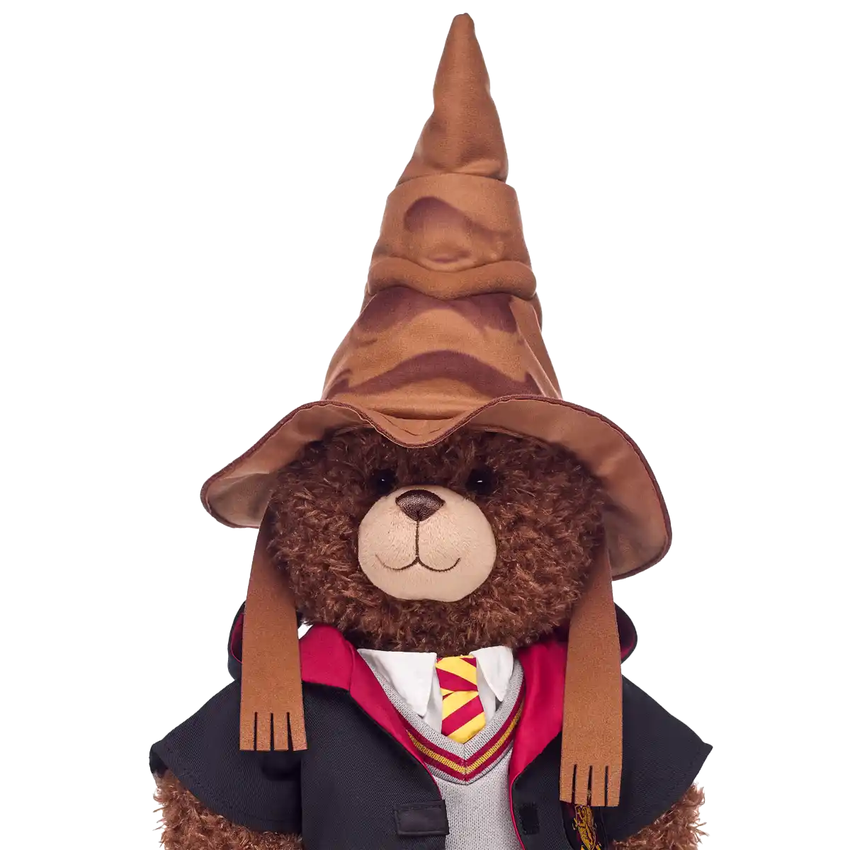Harry Potter hat
