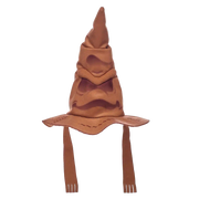 Harry Potter hat