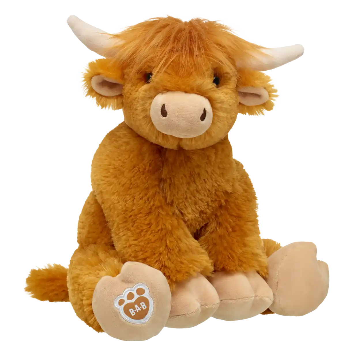 Highland Cow
