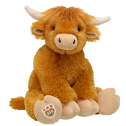 Highland Cow