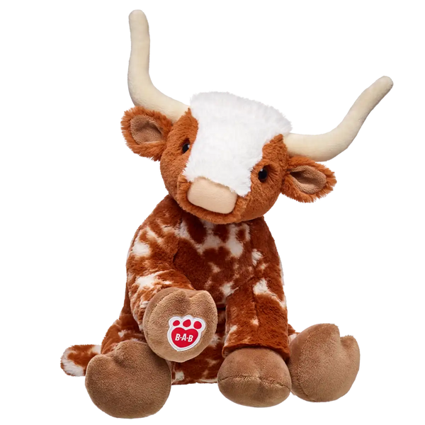 Longhorn Cow