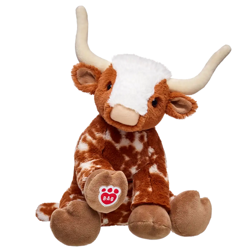 Longhorn Cow