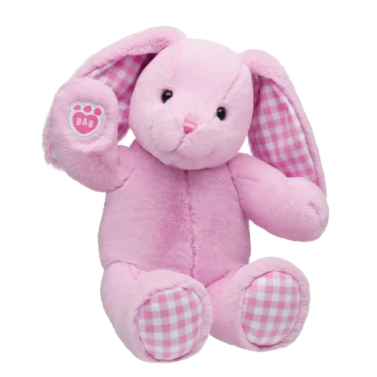 Ping Gingham Pawlette