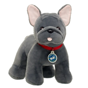 Promise Pets Frenchie