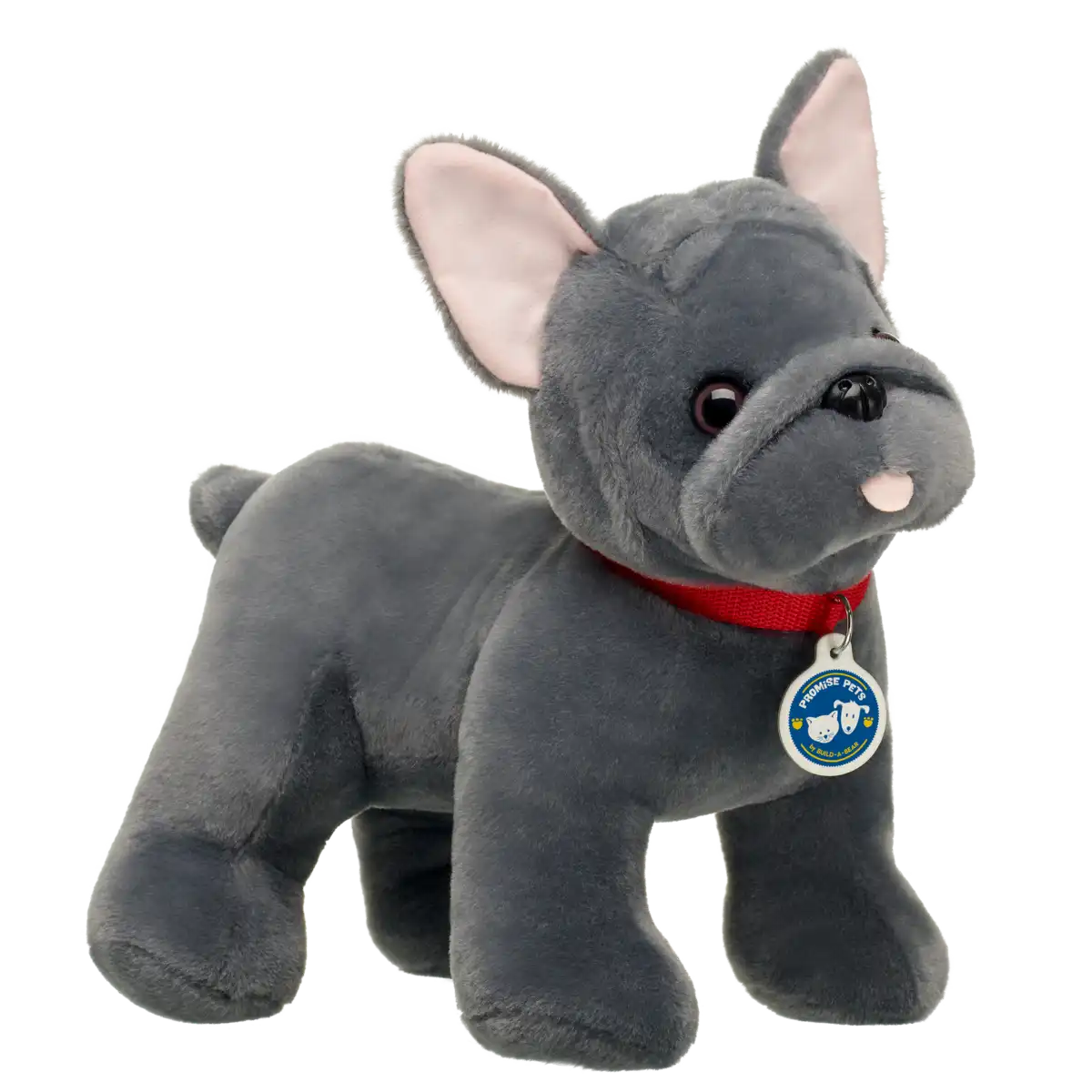 Promise Pets Frenchie