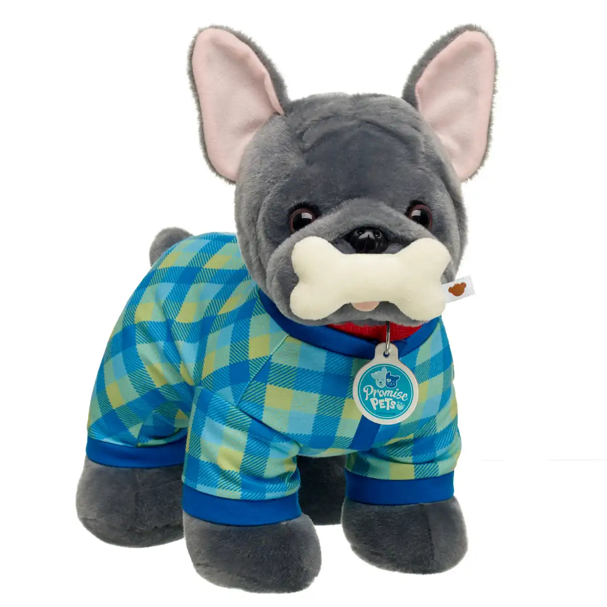 Promise Pets Frenchie