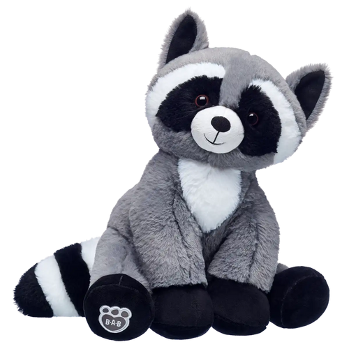 Raccoon