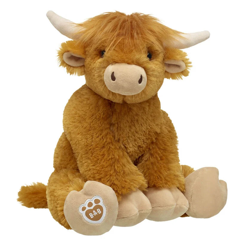 Highland Cow