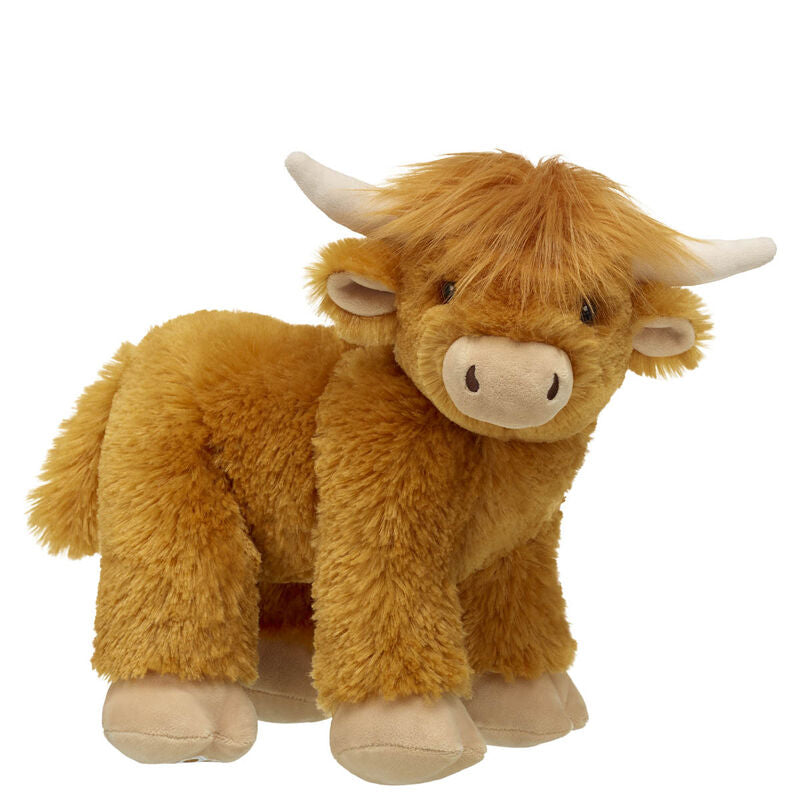 Highland Cow