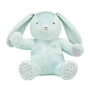 Swarovski Mint Bunny
