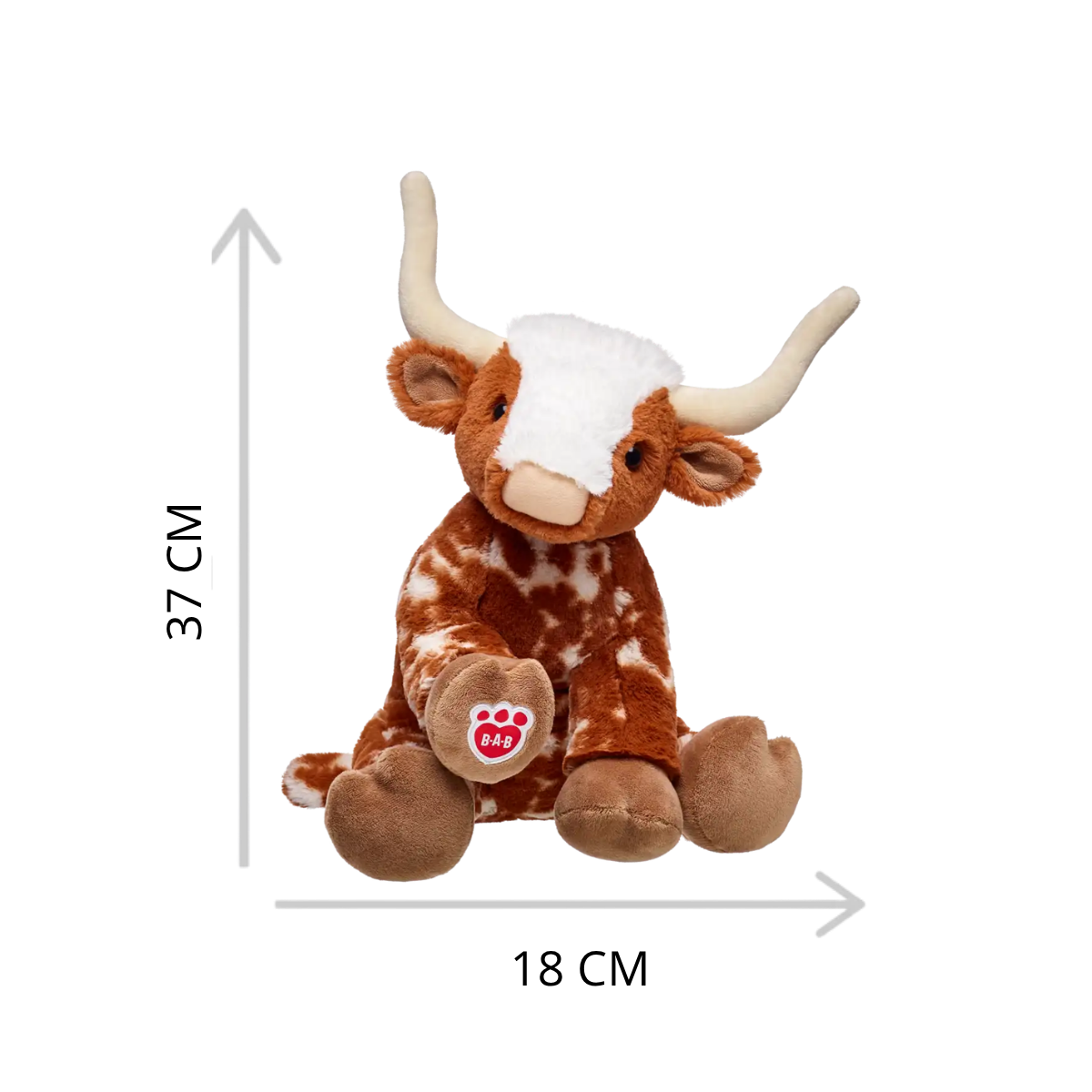 Longhorn Cow