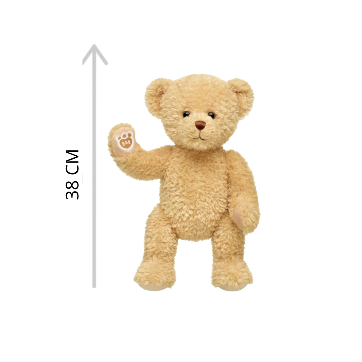Keepsake Teddy