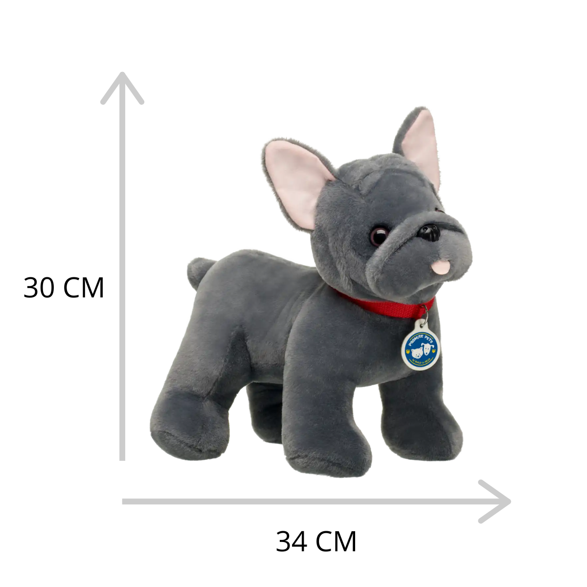 Promise Pets Frenchie