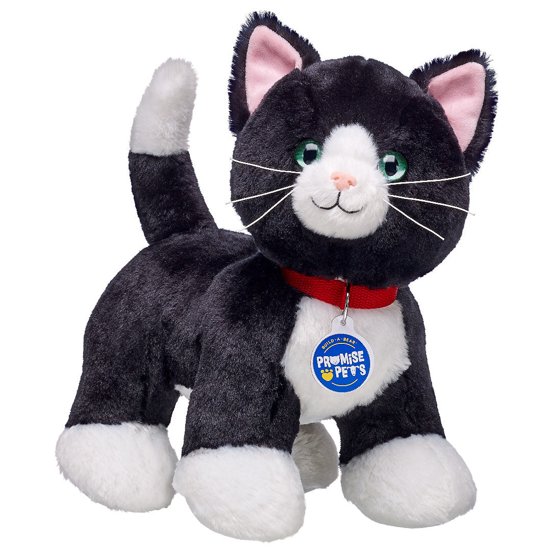 Promise Pets Tuxedo Kat